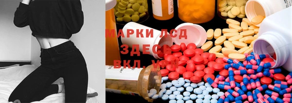 apvp Семилуки