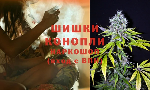 apvp Семилуки