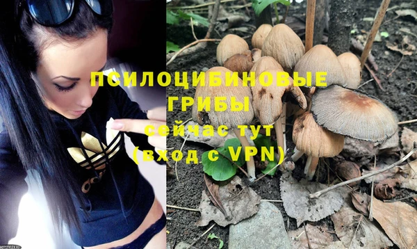 синтетический гашиш Семёнов