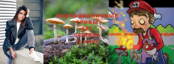 apvp Семилуки